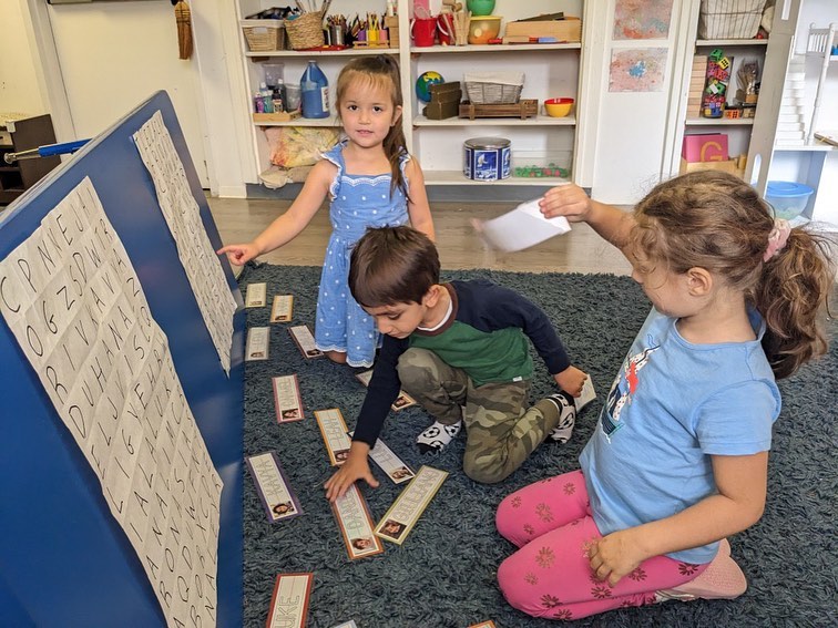 Rose Hill Montessori of Manhattan: A Comprehensive Review