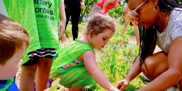 battery park montessori school